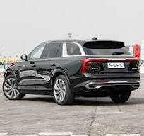 2022 Hongqi E-HS9 Electric Cars / Chinese Top New Energy Vehicles Electric  Car Hongqi E-HS9 Used Car for Sale