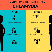 Image result for chlamydia symptoms