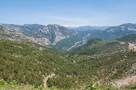 Choose lots of fun questions via: 115 Easy Trivia Questions For Teens With Answers