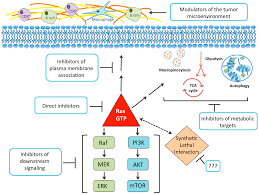 If you are the main caregiver, help each team member express concerns, opinions, and emotions. Cancers Free Full Text Kras Mutant Pancreatic Cancer No Lone Path To An Effective Treatment