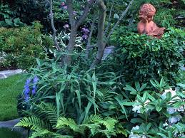 Zudem hat diese sorte eine gute widerstandsfähigkeit gegen krankheiten und macht sie für den garten noch attraktiver. Baume Unterpflanzen Im Schatten Von Geholzen Gartenflora