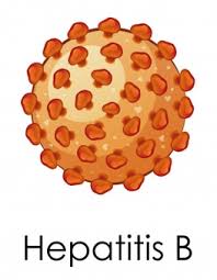 For some people, hepatitis b infection becomes chronic, meaning it lasts more than six months. Diagramm Mit Hepatitis B Virus Kostenlose Vektor