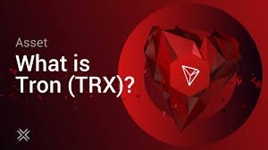 At that time, tron was valued at $0.0019. What Is Tron Trx Tron Coin Youtube
