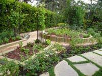 Lavender lavender has a beautiful flowering herb and is widely grown what vastu says growing a banana tree in the northeast direction of the garden brings good health. Vastu For Garden Vastu Advice For Garden