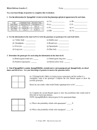 Science spot spongebob genetics answers if you want to download the image of genetics worksheet answer key or spongebob genetics worksheet answers kidz. Spongebob Genetics 2 Genotype Genetics