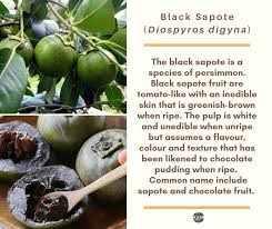 But, the moment you taste it, all other sweets of the world will cease to exist for you. Blacksapote Hashtag On Twitter