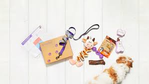 Five different mouth watering chews and treats for puppies! Pupbox
