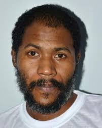 Man who jumped off Riverside Plaza building, charged with murder