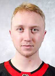 Player photos for the 2014-15 Almtuna IS at hockeydb.com