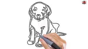 How to draw a butterfly; How To Draw A Realistic Dog Easy Step By Step Drawing Tutorials For Kids Ucidraw Youtube