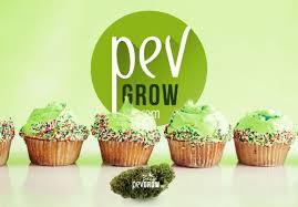 Comment Faire Un Delicieux Cupcake Au Cannabis Simplement