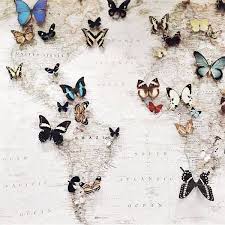Butterflies And Where They Live On A Map Clever Butterfly Inspiration Art
