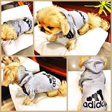 Kapsonlu Adidog Sweatshirt 3 Rengi Bulunmaktadir Siyah Beyaz Kirmizi Beyaz Gri Siyah Http Kemique Com Page Php Id 12 Kopek Urunler Gri