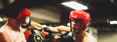 Everybody S Got A Plan Until You Get Punched In The Nose