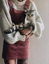 Trendy Dress Pink And Black Sweaters Ideas Cats Cute Animals Cute Outfits