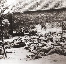 Lidice wurde 1942 von den deutschen nationalsozialisten als teil der racheaktionen nach dem attentat auf reinhard heydrich zerstört. Verbrechen Warum Deutsche Polizisten In Lidice Ein Massaker Verubten Welt