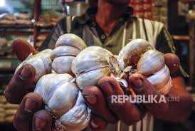 Update harga terkini bawang putih per kg di pasar dan harga ecer tertinggi (het) yang ditetapkan oleh pemerintah. Harga Bawang Putih Di Pontianak Mulai Turun Republika Online