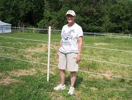 Maybe you would like to learn more about one of these? A Do It Yourself Weekend Horse Fence Pasturepro Horse Fencing Horses Horse Diy