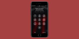 Chto Delat Esli Vy Zabyli Parol Ot Iphone Ili Ipad Lajfhaker