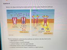 Maybe you would like to learn more about one of these? Question 2 Which Statement About Ligands And Chegg Com
