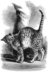 How you can get realism into your drawings using bright colours. Emotion In Animals Wikipedia