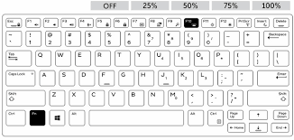 Enable keyboard lighting and select the brightness you want. Solved How To Enable Disable Keyboard Backlight In Windows 10 Free Tech Help