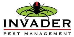 Box 3803 scottsdale, az 85271. Termite Control Services In Phoenix Az Cityof Com