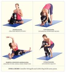 Yoga At Home For Beginners Yoga With Your Pet Doga Dog Grooming For Beginners Home Dog Grooming Room Diy Dog Gr Dog Yoga How To Do Yoga Yoga At Home