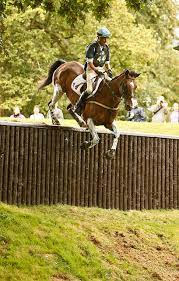 See more of freundeskreis vielseitigkeitsreiten in westfalen ev on facebook. Weltreiterspiele 2014 Disziplin Vielseitigkeit
