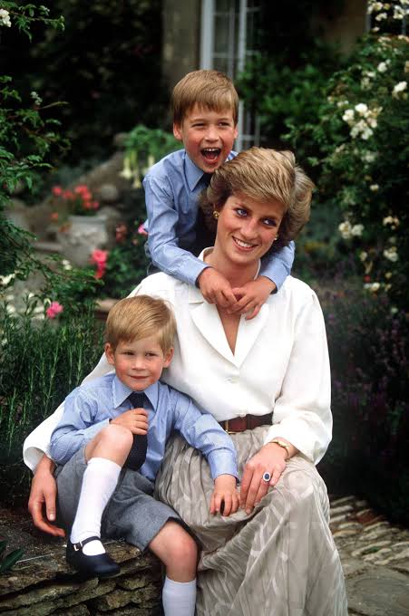 Review: Princes William and Harry's Guarded Confessions in “Diana, Our  Mother” | The New Yorker