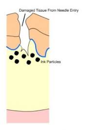 Believe it or not, becoming a good tattoo artist is not as hard as you may think, yet it does require an understanding of the fundamentals, a bit of practice, hard work, and plenty of commitment. How Does Tattooing Work Why Does Tattoo Ink Fade Over Time