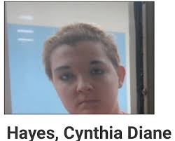 Cynthia Diane Hayes