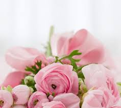 Maybe you would like to learn more about one of these? Flowers Merangkai Bunga Maubelajarapa