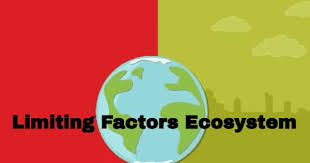 Biotic And Abiotic Factors In An Ecosystem Video What Are Limiting Factors In An Ecosystem Ecosystems Sixth Grade Science Middle School Science