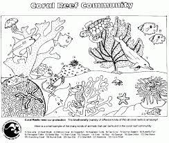 Make your world more colorful with printable coloring pages from crayola. Food Web Coloring Pages Coloring Home