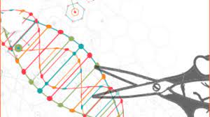 Crispr Taking Us To A New Frontier Cancerconnect