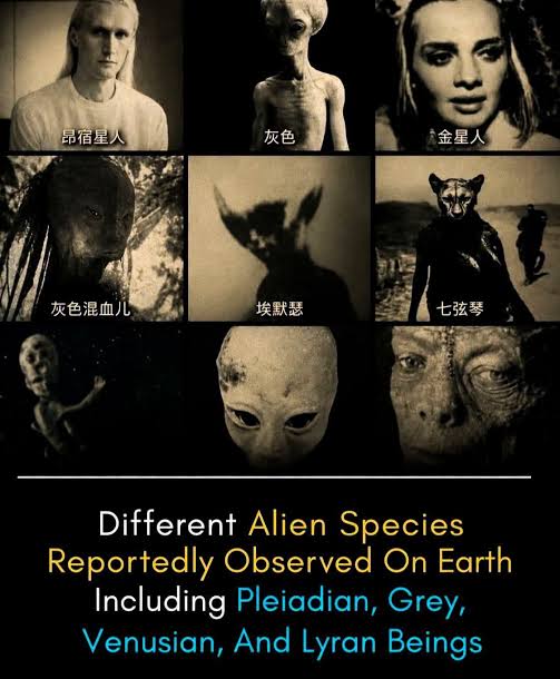 What are the most commonly reported alien species?