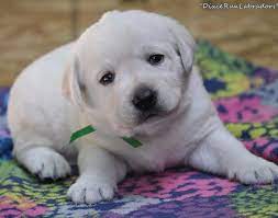 Pin On Cute