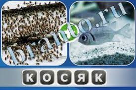 игра одним словом антонимы ответы на все уровни в одноклассниках Prohozhdenie Igry Odnim Slovom Associacii Vse Otvety V Kartinkah