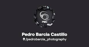 Pedro Barcia Castillo