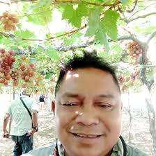 Profile for Noel Ornido