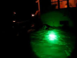 Elusive Wildlife Xlr250 Green Kill Light Youtube
