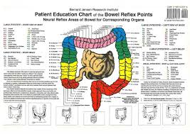 Colon Hydrotherapy Cairns 360 Health Colon Health