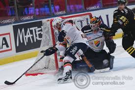 Hittade du inte vad du letade efter? Swedish Elite League Djurg Rdens If Team
