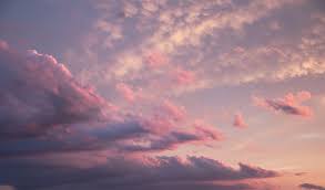 We did not find results for: 500 Pink Sky Pictures Download Free Images On Unsplash