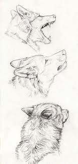 Drawing Sketch Stick Figure Pencil Drawing Drawing Tutorial Simple Drawing Drawing Basis Cool Drawing Dr Animal Sketches Animal Drawings Drawing Sketches