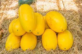 Of course, since the squash has been cut open, it will not last as long as the whole, uncut variety. How To Store Spaghetti Squash Keeping It Fresh Tasty