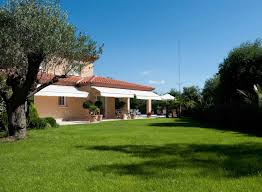 Epingle Sur Pelouses Semees Ou Synthetiques