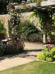 Chartwell Landscape Plants Red Peppercorn