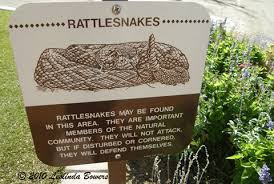Yikes Rattlesnakes Sign At An Arizona Golf Course Arizona Golf Courses Disturbing Rattlesnake